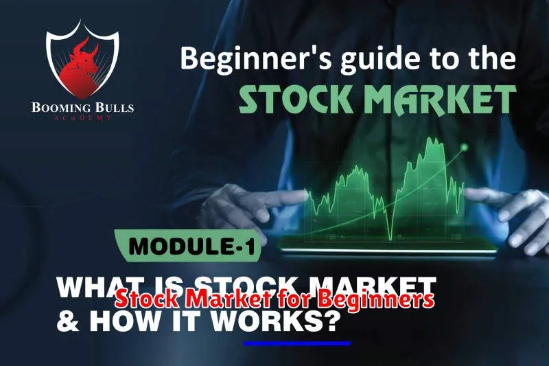 Stock Market for Beginners