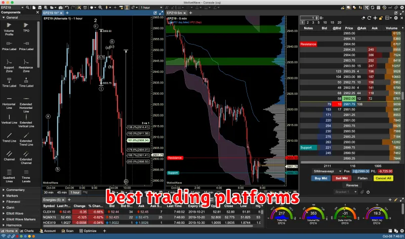 best trading platforms