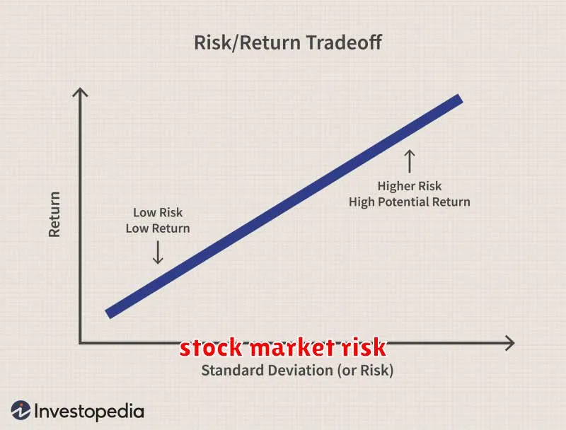 stock market risk